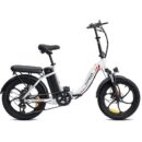 Fafrees F20 250W 20" Vélo électrique Pliant