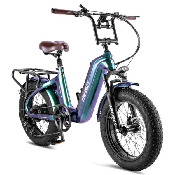 Fafrees F20 Master 500W 20" Fat Bike VTC électrique – Image 7