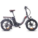 Fafrees F20 Pro 250W 20" Vélo électrique pliant
