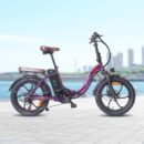 Fafrees F20 Pro 250W 20" Vélo électrique pliant