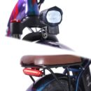 Fafrees F20 Pro 250W 20" Vélo électrique pliant