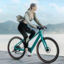Fiido C22 Gravel Vélo électrique