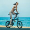 Fiido D11 Vélo électrique Pliant