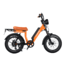 Onemile SCRAMBLER V PRO