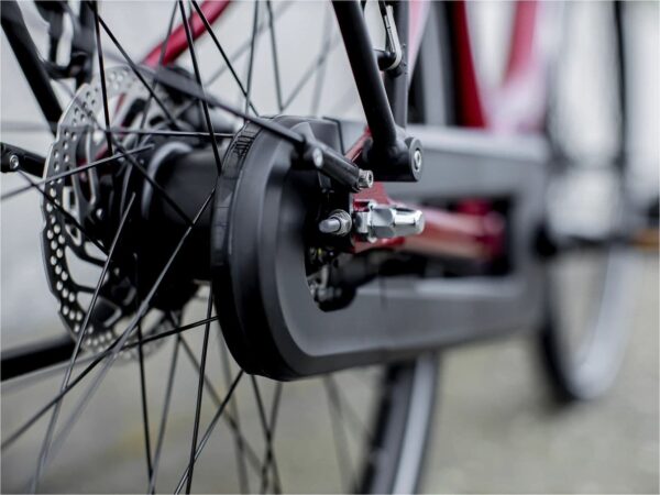 Trek District+ 4 Lowstep 300wh Shimano Nexus 2022 – Image 4