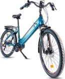 Urbanbiker Sidney Plus VAE de ville
