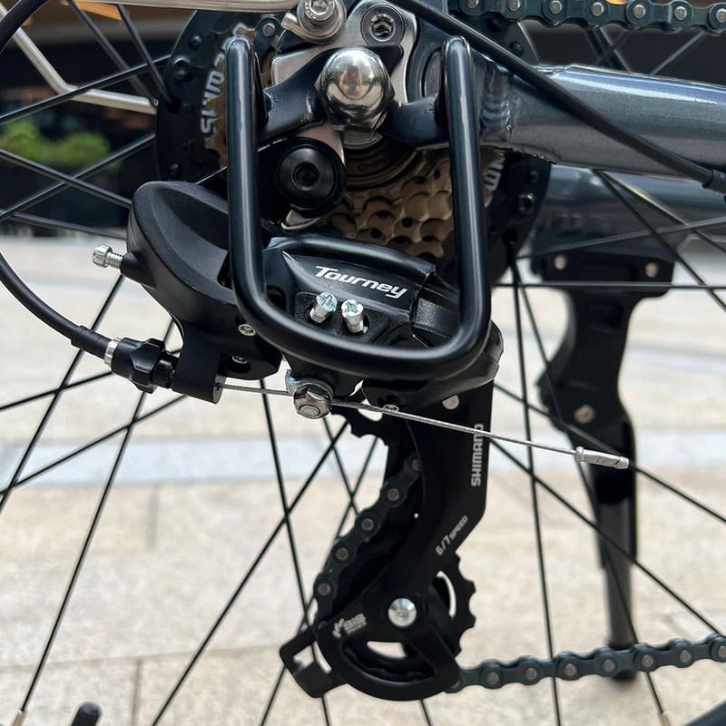 VTC électrique Molicycle R1 250W 26" – Image 3