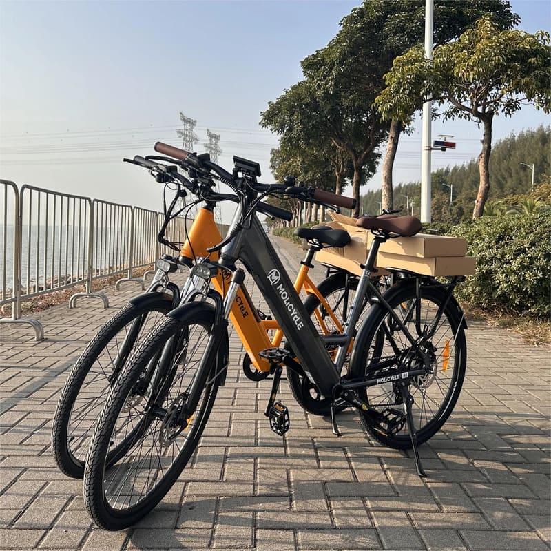 VTC électrique Molicycle R1 250W 26" – Image 2