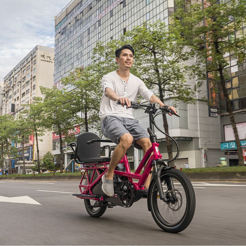 Vélo cargo électrique Tern GSD S10 LR – Image 7