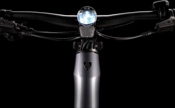 Vélo de Fitness Électrique Trek Dual Sport+ 2 Shimano Altus 9V 250 Wh 650 mm Gris 2023 – Image 5