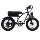 Vélo électrique Bezior XF001 PLUS