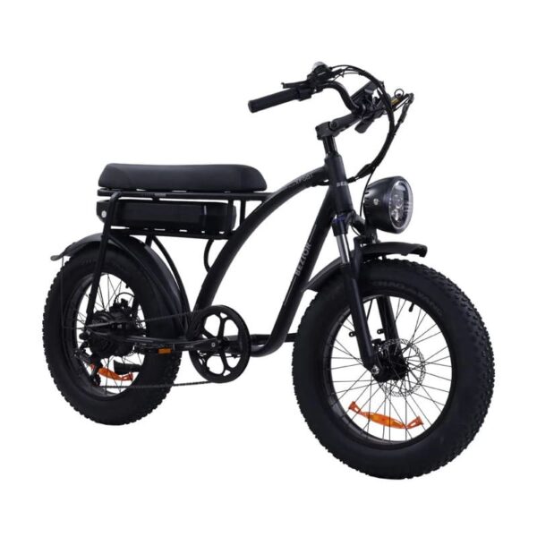 Vélo électrique Bezior XF001 PLUS – Image 3